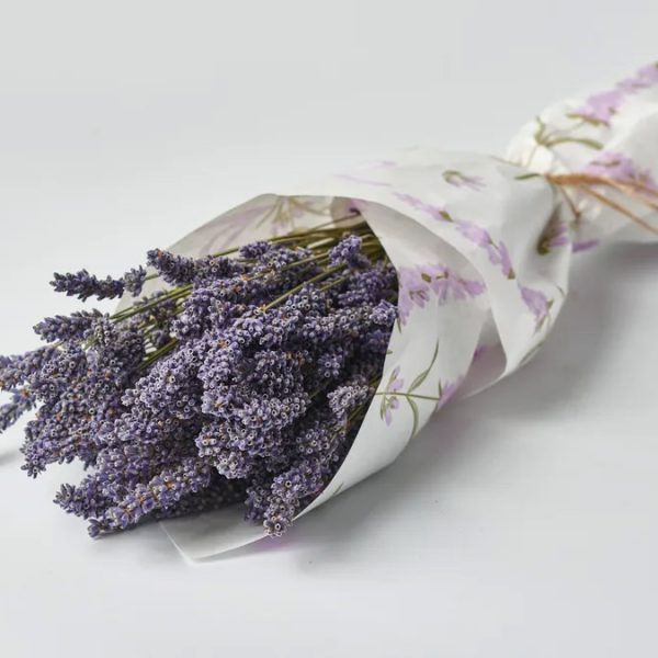 Dried Flowers in a Bunch of Lavender DRIED PLANTS Antheon