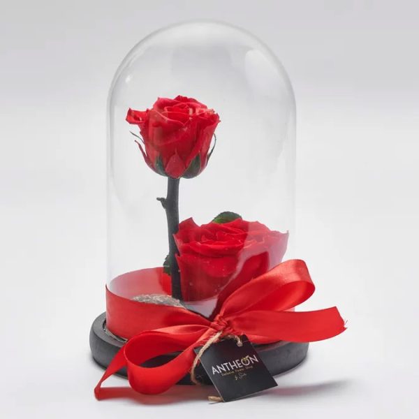 Forever Rose In A Glass Double Red FOREVER ROSES Antheon
