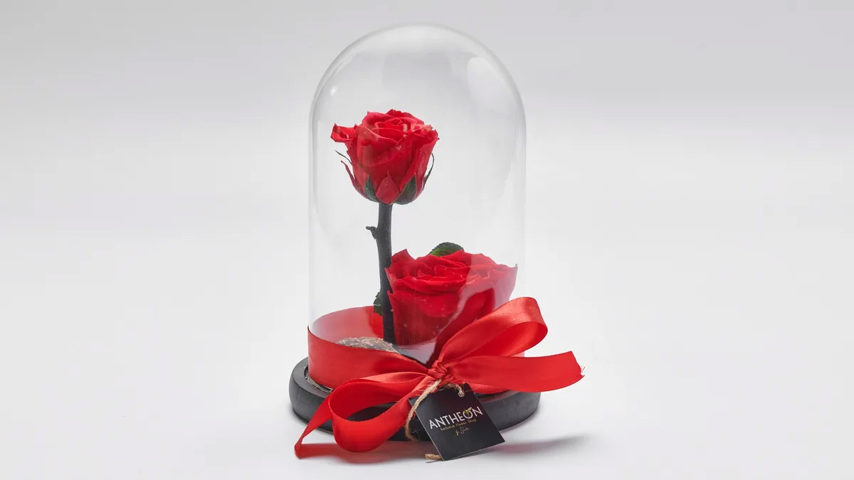 Forever Rose In A Glass Double Red FOREVER ROSES Antheon