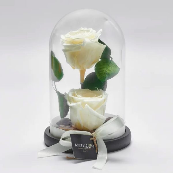Forever Rose Μέσα σε Γυάλα Διπλό Λευκό FOREVER ROSES Antheon