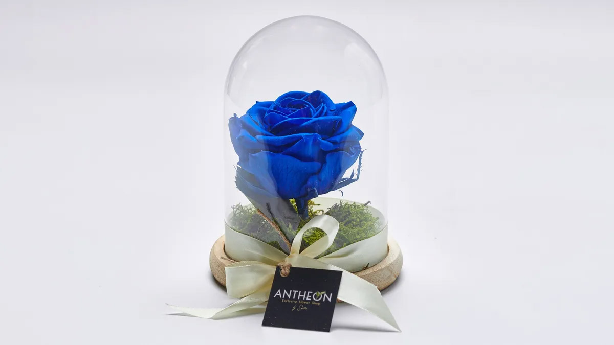 Forever Rose in a Glass Single Blue FOREVER ROSES Antheon