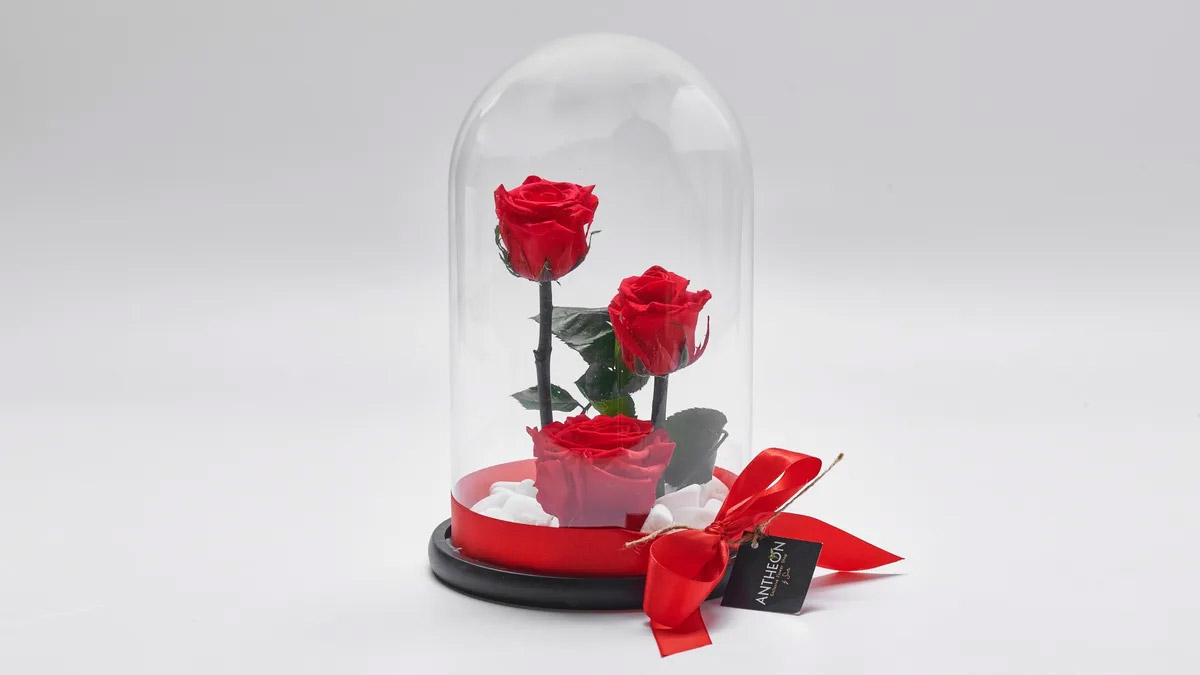 Forever Rose in a Glass Triple FOREVER ROSES Antheon