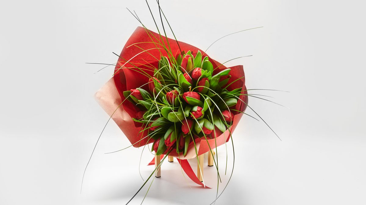 Bouquet of Fresh Red Tulips BOUQUET Antheon
