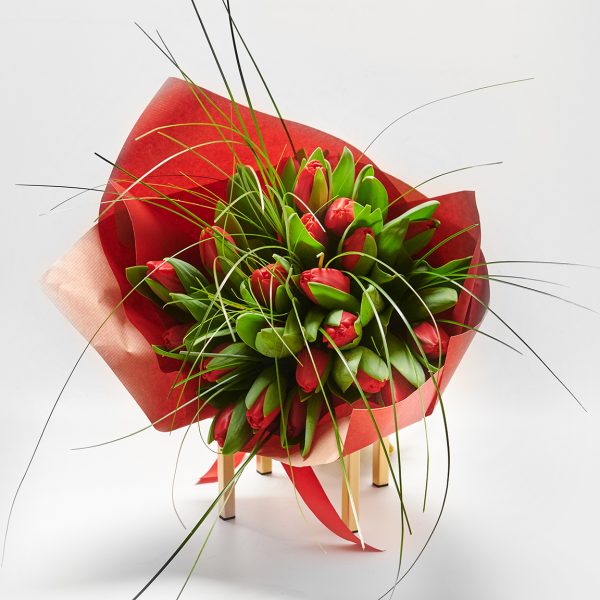 Bouquet of Fresh Red Tulips BOUQUET Antheon