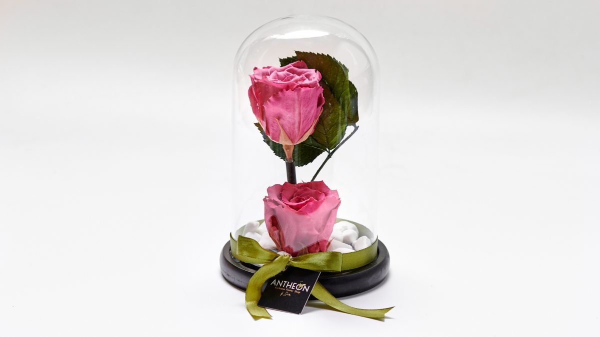 Forever Rose In Glass Double Purple FOREVER ROSES Antheon