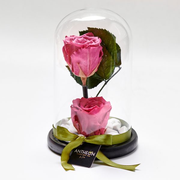 Forever Rose Μέσα σε Γυάλα Διπλό Μώβ FOREVER ROSES Antheon