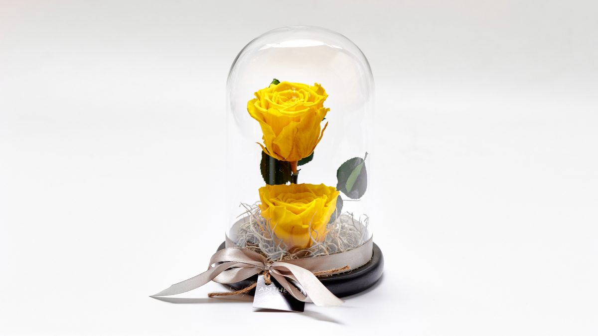 Forever Rose In Glass Double Yellow FOREVER ROSES Antheon