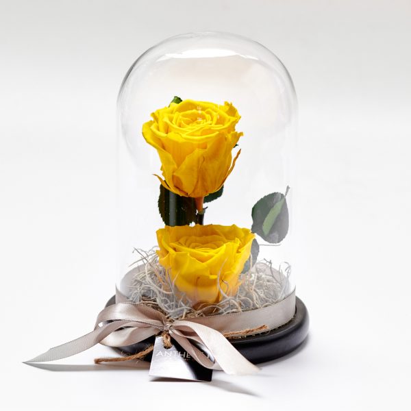 Forever Rose Μέσα σε Γυάλα Διπλό Κίτρινο FOREVER ROSES Antheon