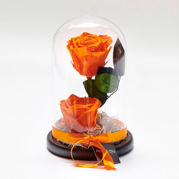 Forever Rose In Glass Double Orange FOREVER ROSES Antheon