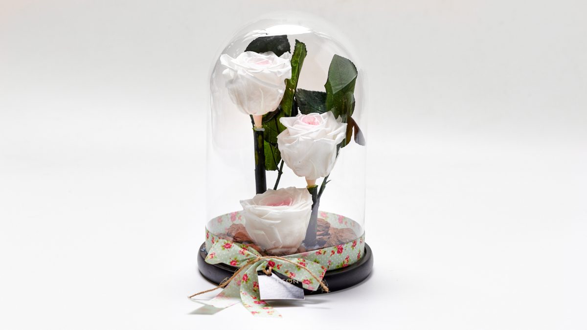 Forever Rose In A Glass Triple White FOREVER ROSES Antheon