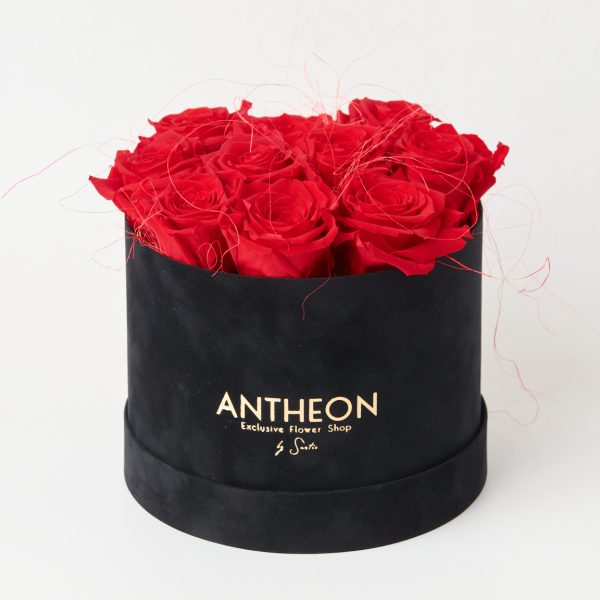 Forever Rose in Black Luxury Box FOREVER ROSES Antheon