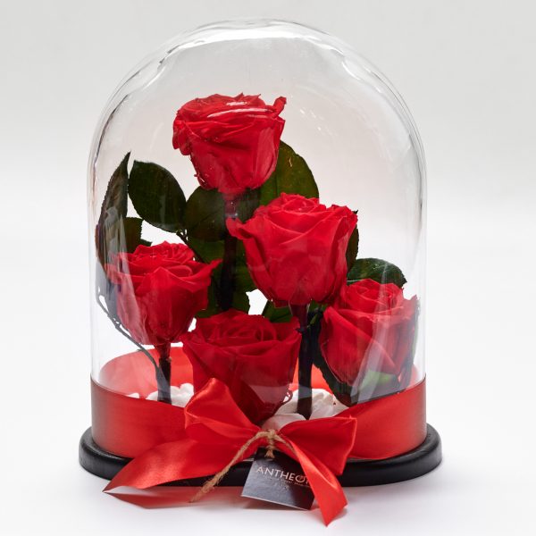 Forever Rose In A Glass Oval Quintuple FOREVER ROSES Antheon