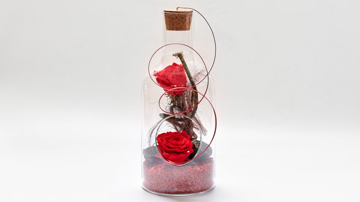 Forever Bottle Tall Red FOREVER ROSES Antheon