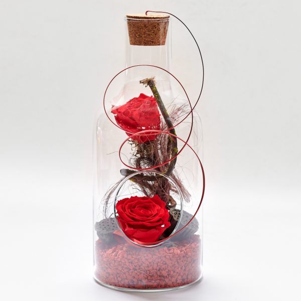 Κουτί πολυτελίας 20cm με φρέσκα κόκκινα τριαντάφυλλα (Αντιγραφή)