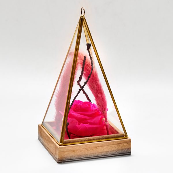 Forever Pyramid Fuchsia FOREVER ROSES Antheon