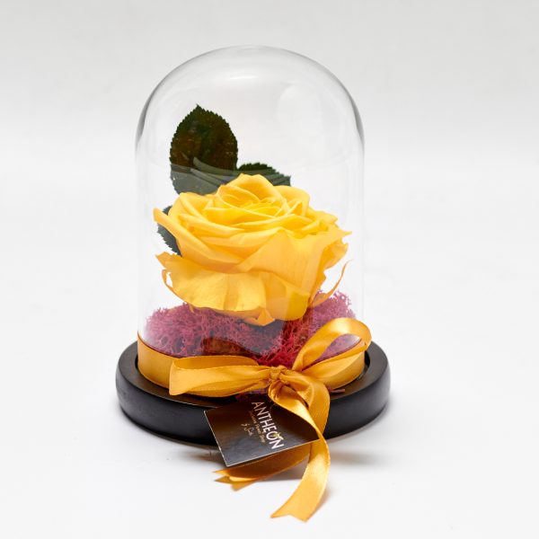 Forever Rose In A Glass Single Yellow FOREVER ROSES Antheon