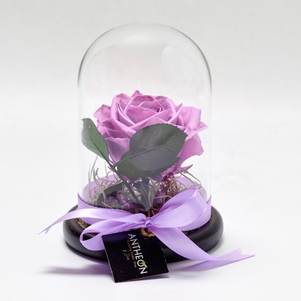 Forever Rose In A Glass Single Purple FOREVER ROSES Antheon