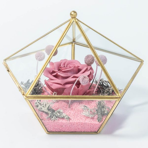 Forever Pink Glassy Terrarium FOREVER ROSES Antheon