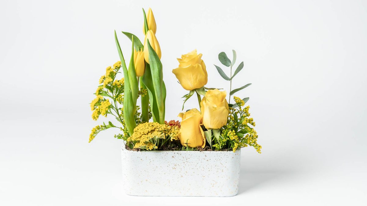 Fresh Flowers Arrangement in Long Narrow White Caspo FLOWER ARRANGEMENTS Antheon