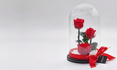 forever-roses forever-roses